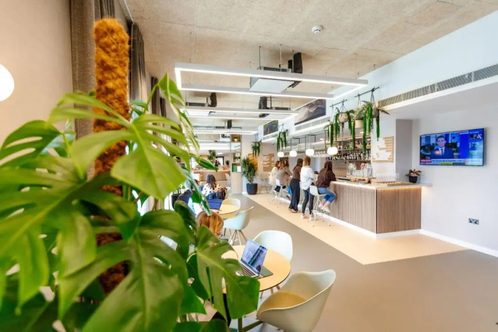 Zeal first branded Net-Zero carbon hotel _ Artus Featured Image